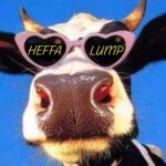 Heffa Lump band branding image featuring a cow wearing sunglasses, representing the band’s grungy rock jazz cowboy fusion style
